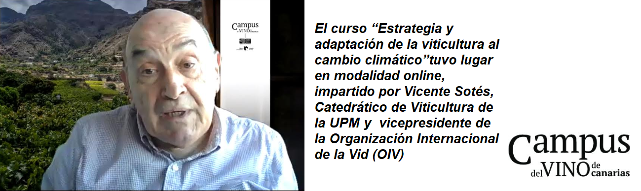 FRASE SOTÉS CAMPUS DEL VINO