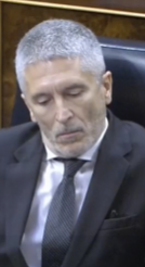 grande marlaska