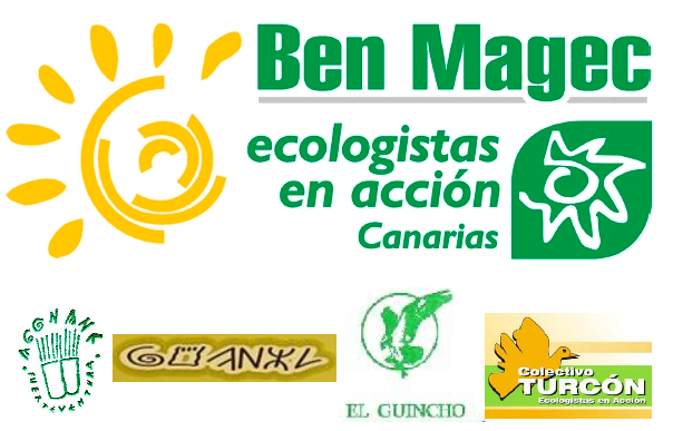 ben magec agonane, guanil turcon el guincho