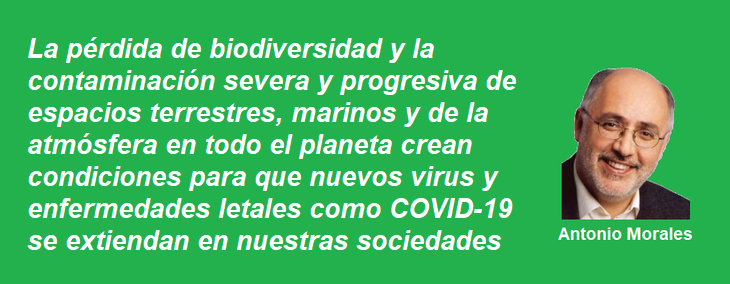 FRASE ANTONIO MORALES