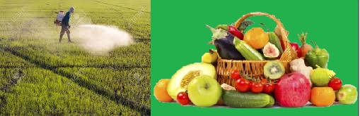 AGRICULTURA ECOLÓGICA - QUÍMICA