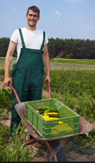 AGRICULTOR ECOLÓGICO