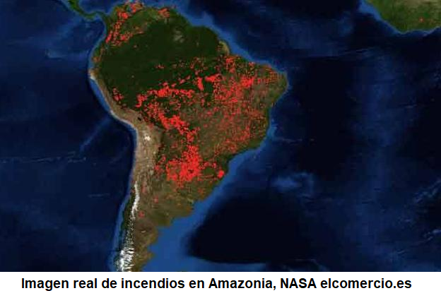 incendios amazonia