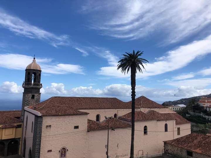 PALMERA SANTO DOMINGO LA OROTAVA 2