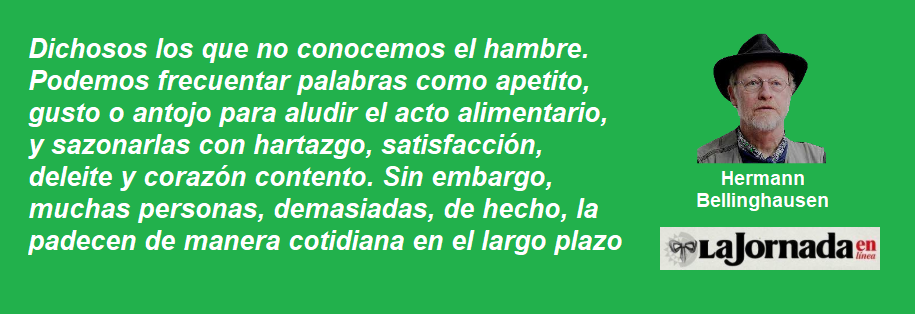 frase BELLINGHAUSEN