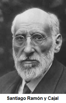 ramón y cjal
