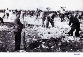 ESCLAVOS FRANCO