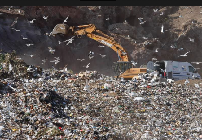 BASURA ZONZAMAS