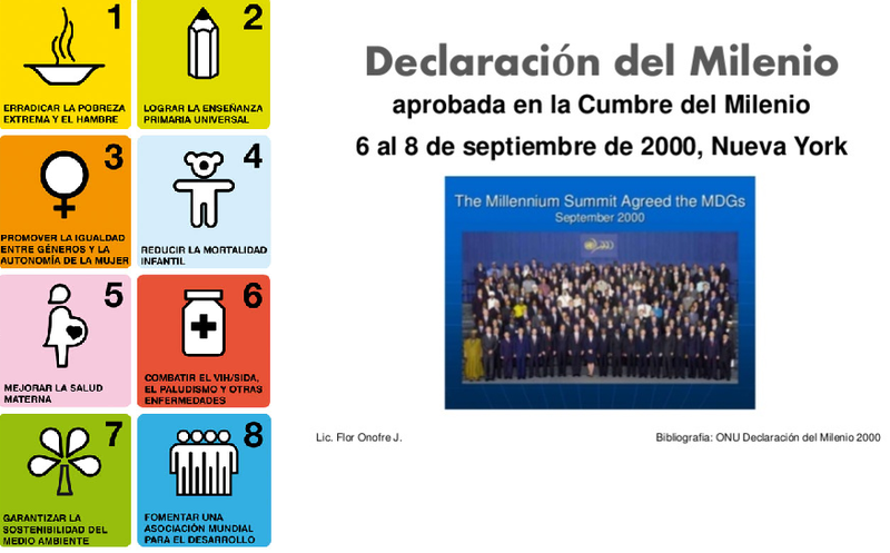 declaración del milenio