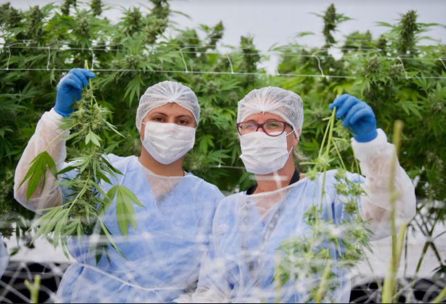 agricultura sostenible