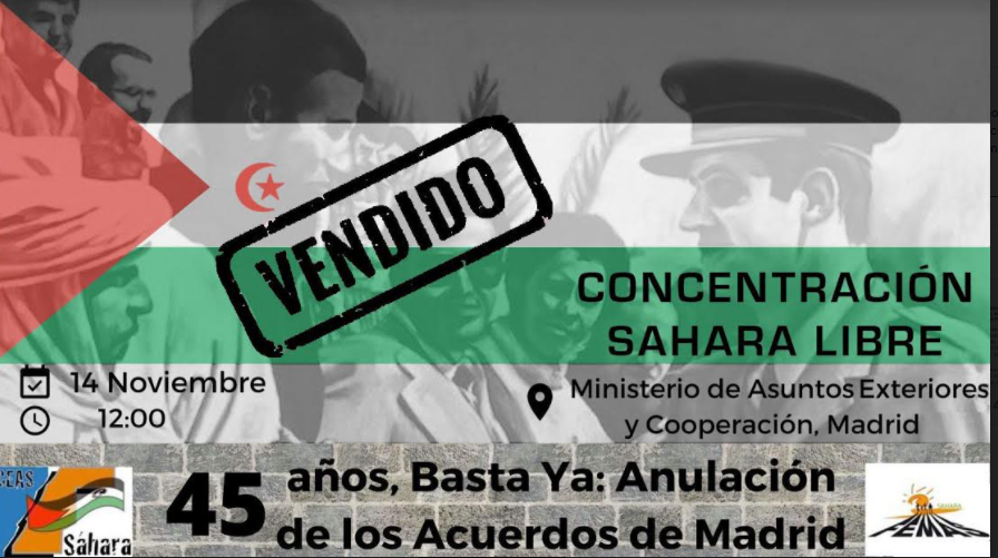 concentración sáhara 14 n 1