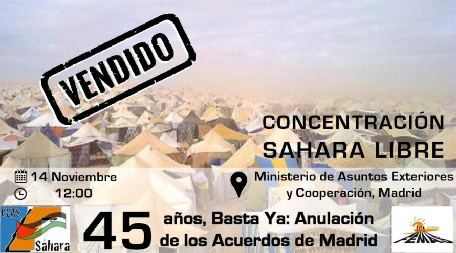 concentración sáhara 14 n