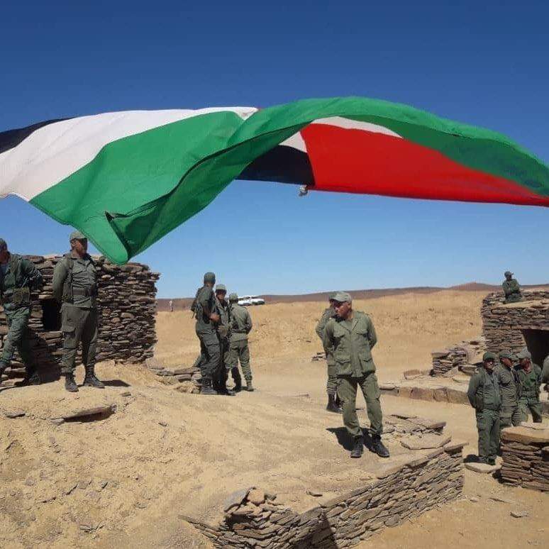 polisario