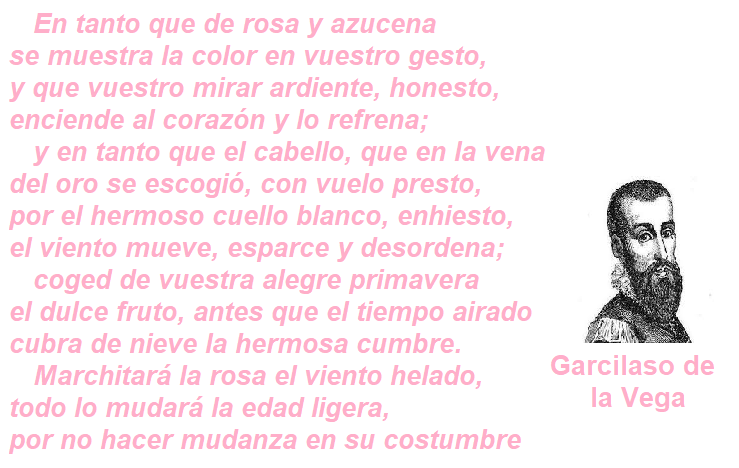 en tanto que de rosa y azucena