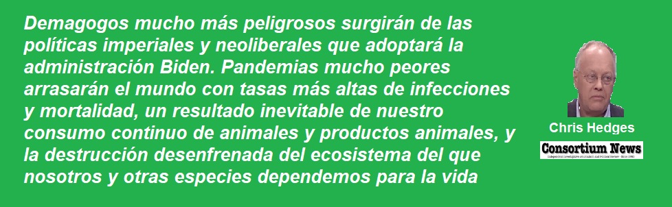 FRASE HEDGES