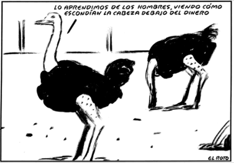 ROTO 33
