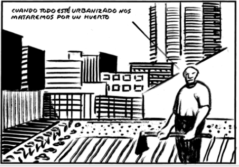 ROTO 25