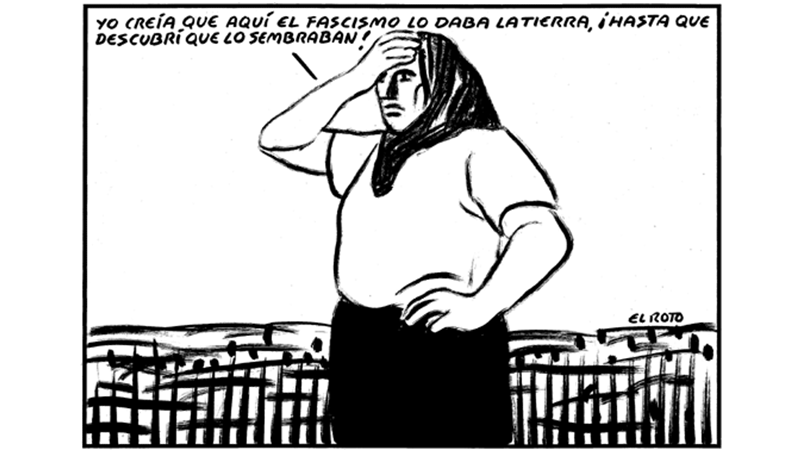 ROTO 4