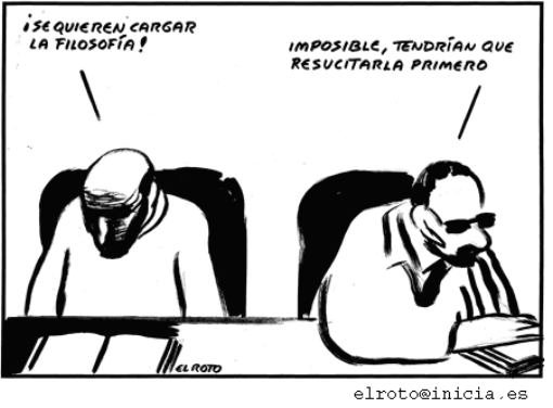 roto 113