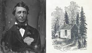 henry david toureau