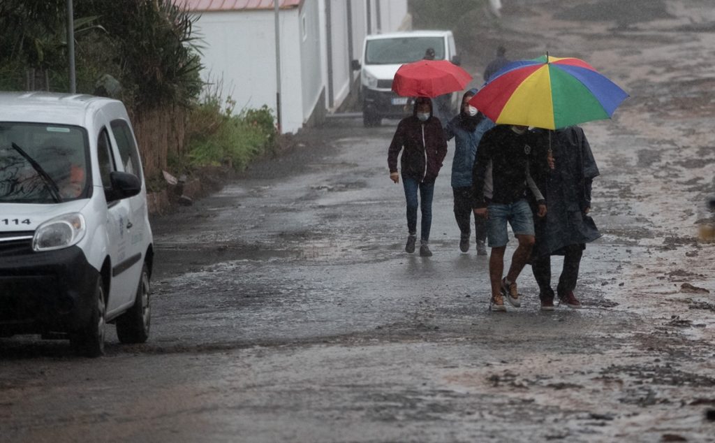 las raíces migrantes