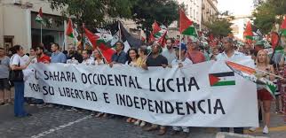 sahara lucha