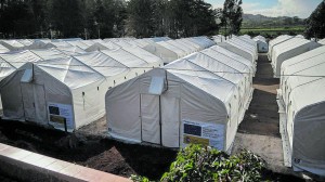 campamento las raices