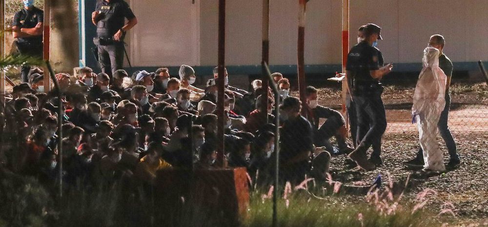 migrantes las raices