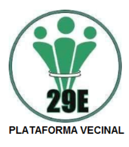 PLATAFORMA VECINAL 29 ENERO
