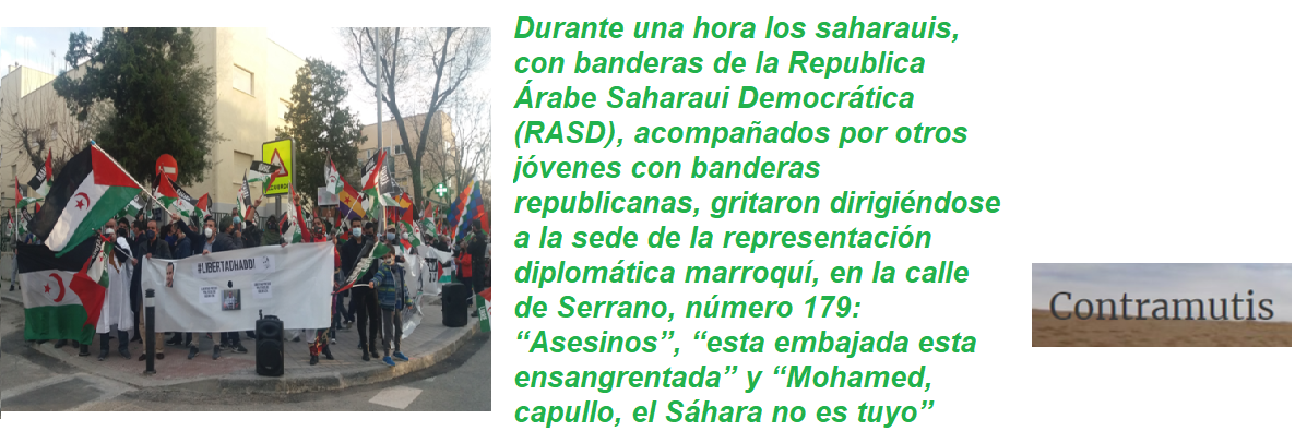 frase contramutis