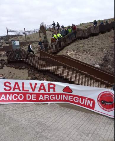 salvar chira soria manifa marzo 2021 1