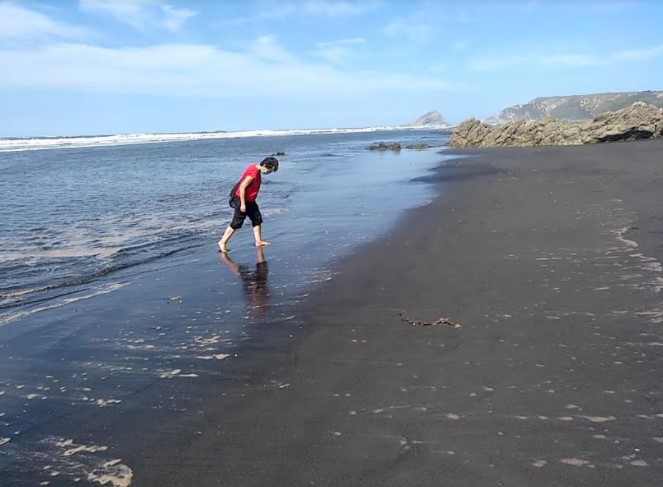 FOTO MADROÑAL MAR