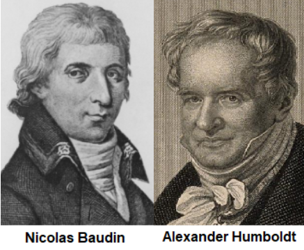 boudin humboltd