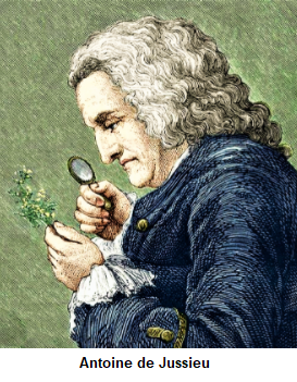 Antoine de Jussieu