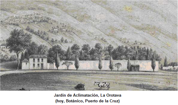 botánico plc