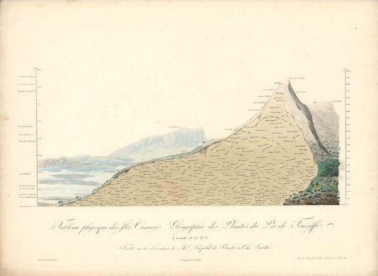 TEIDE HUMBOLTD