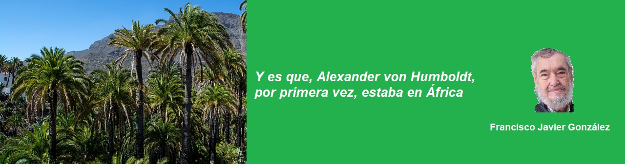 FRASE FCO JAVIER