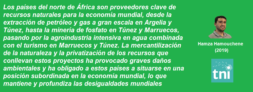 FRASE HAMZA NORAFRICA