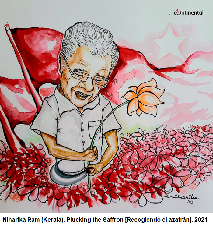 kerala azafrán
