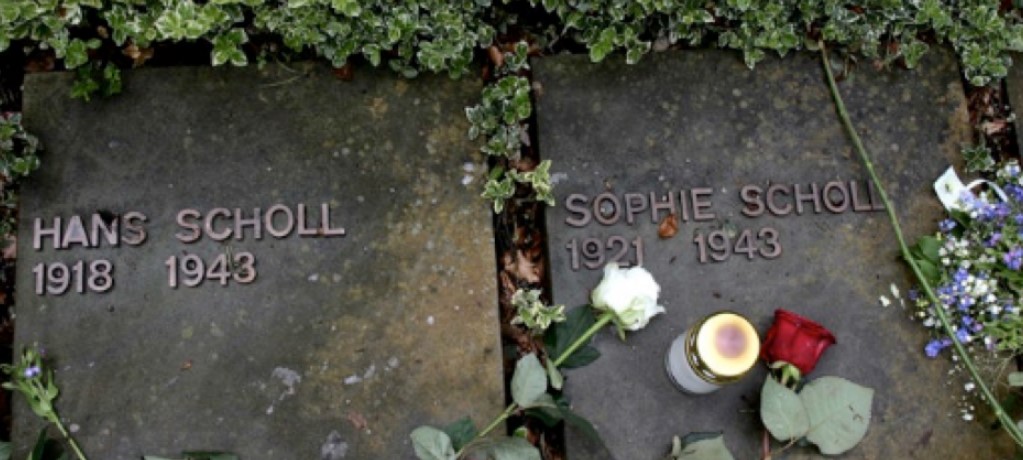 SCHOLL LÁPIDAS