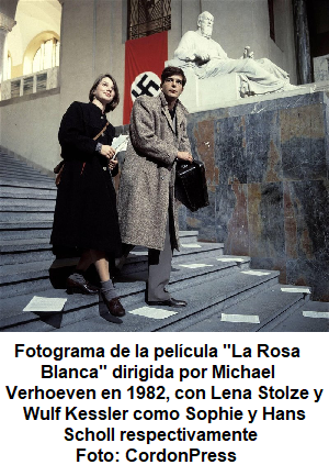 la rosa blanca