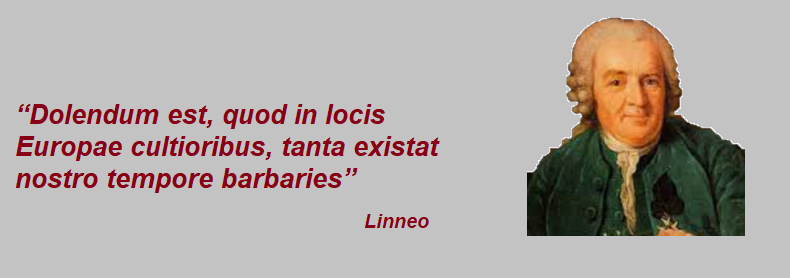 dolenda linneo