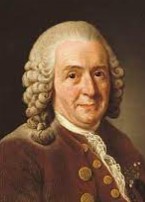 pehr lofling