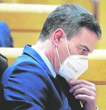 pedro sánchez solo