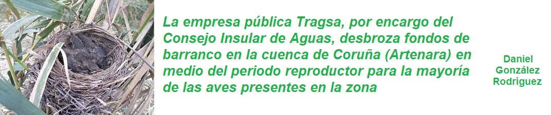 FRASE CABILDO GRAN CANARIA