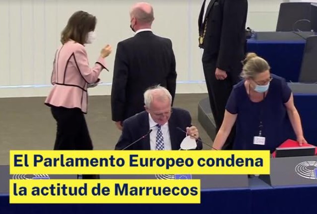 europarlamento marruecos
