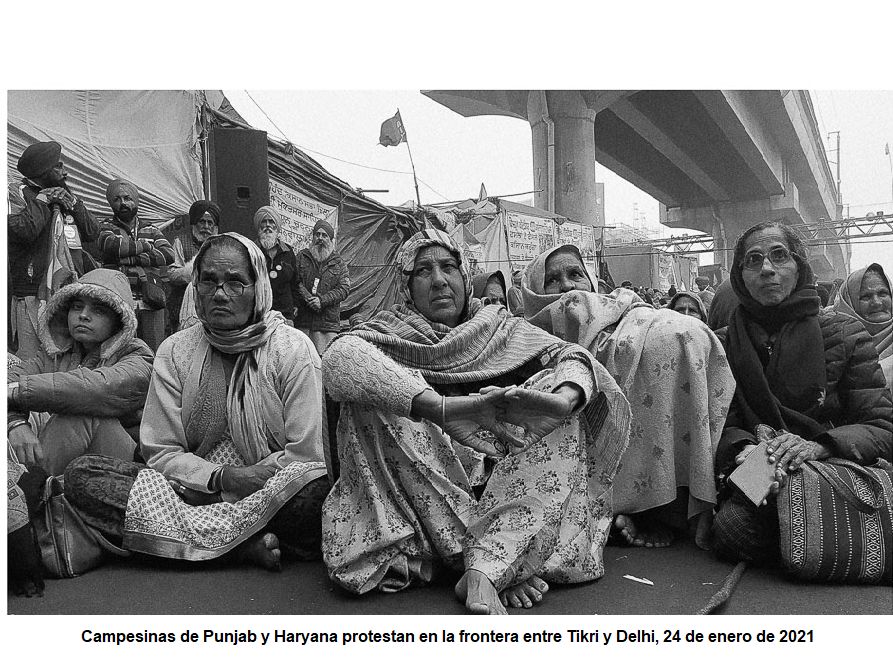 punjab campesinas