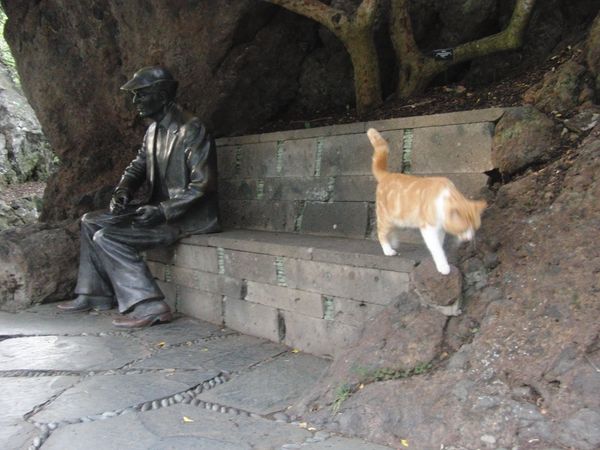 gato de Sventenius