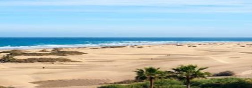 playa canarias