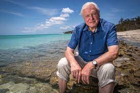 david attenborough
